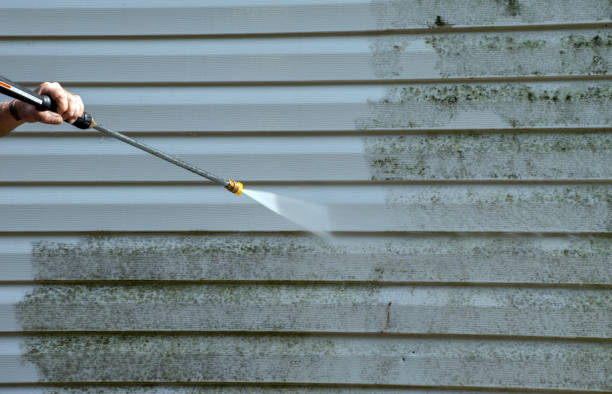 Best Toxic Mold Removal  in Fussels Corner, FL