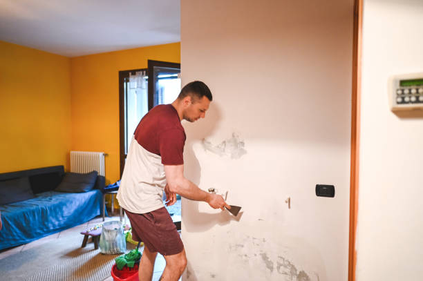 Best Attic Mold Removal  in Fussels Corner, FL