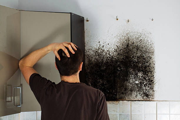 Best Water Damage Restoration  in Fussels Corner, FL